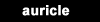 auricle